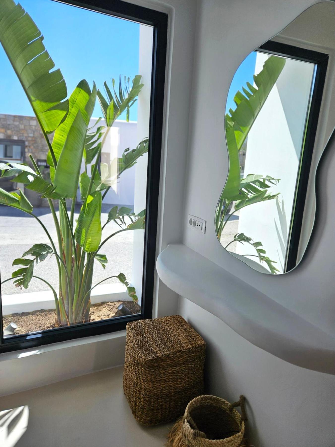 Elli Tropical Suites Mykonos Town 外观 照片