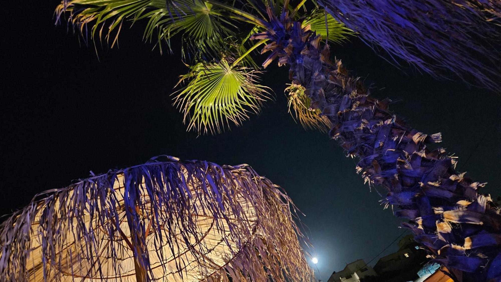 Elli Tropical Suites Mykonos Town 外观 照片