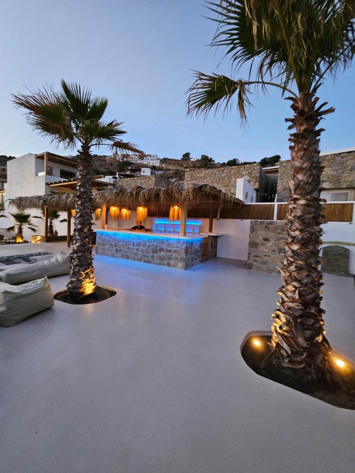 Elli Tropical Suites Mykonos Town 外观 照片