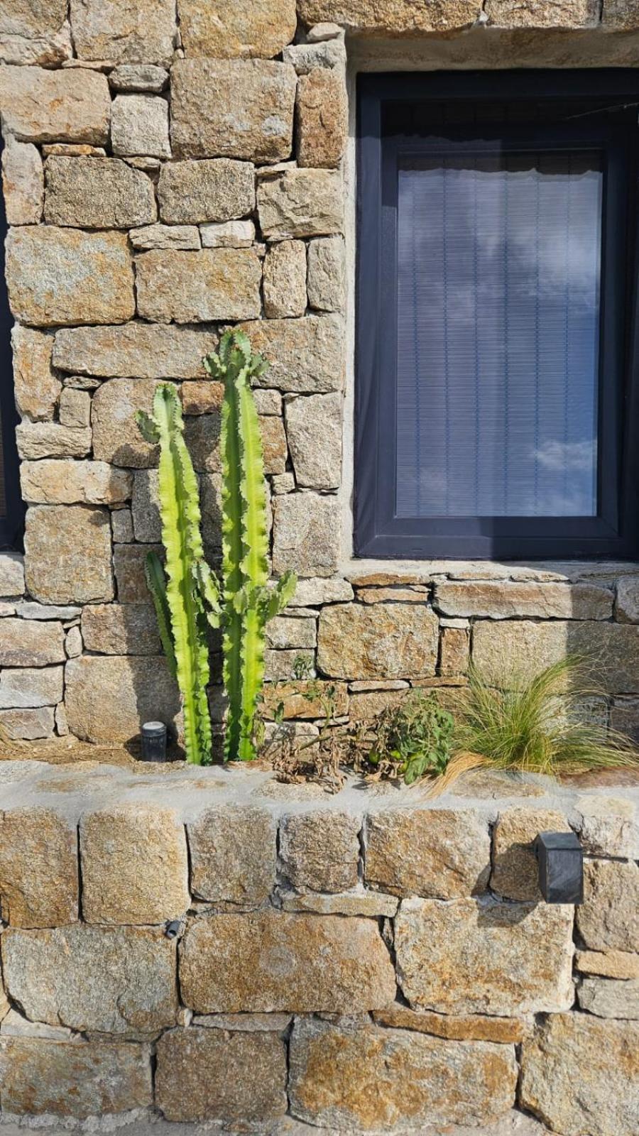 Elli Tropical Suites Mykonos Town 外观 照片